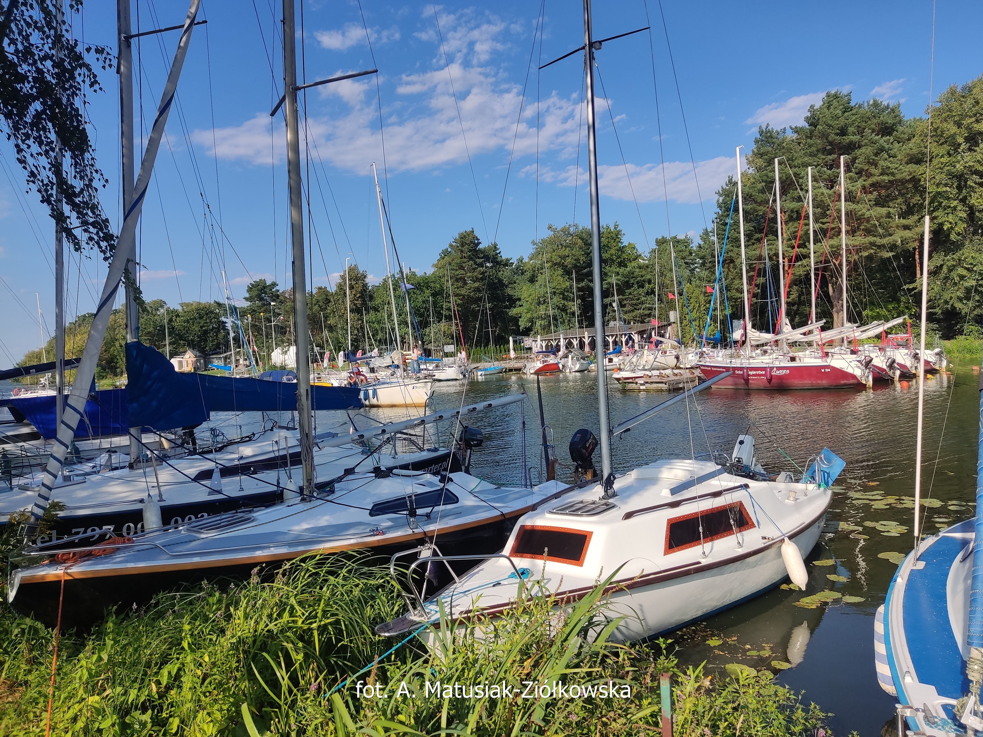 IMG_20230821_163330.jpg (8.92 MB)